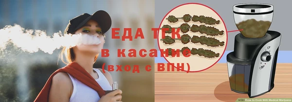 крисы Алзамай