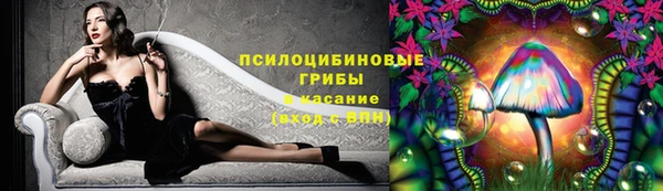 крисы Алзамай