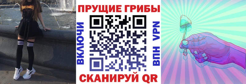 площадка состав  сколько стоит  Донской  Галлюциногенные грибы MAGIC MUSHROOMS 