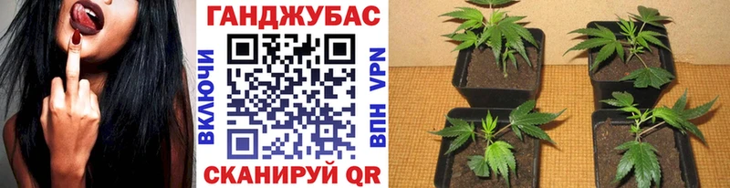 Бошки марихуана AK-47  Донской 